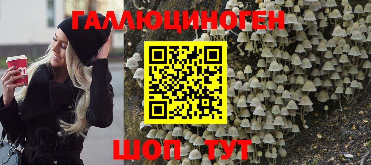 Псилоцибиновые грибы мицелий  Вход с VPN  Галлюциногенные грибы мухоморы  даркнет сайт  Малгобек 